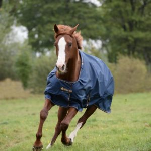 Bucas Irish Turnout Light 50 High Neck | Minihorseshop