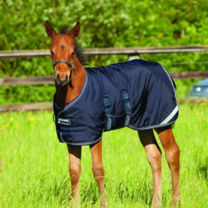 Horseware Amigo Foal Rug Medium 200g | Minihorseshop