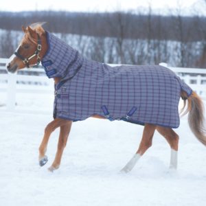 Horseware Rhino Pony All In One | Minihorseshop