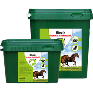 Hofman Biozin | Minihorseshop