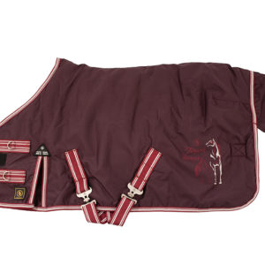 BR 4-EH Outdoordeken 340gr Plum | Minihorseshop