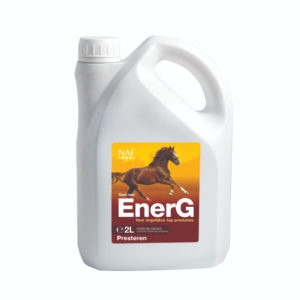 NAF ENERG | Minihorseshop