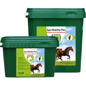 Hofman Equi Mobility Plus | Minihorseshop