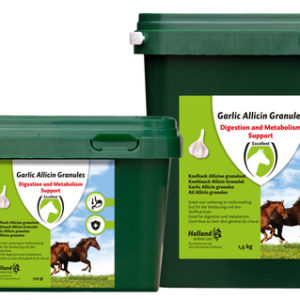 Hofman Garlic Allicin Powder EU (Knoflook poeder) | Minihorseshop