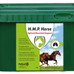 Hofman H.M.P. Horse | Minihorseshop