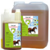 Hofman Liver Oil (Levertraan) | Minihorseshop