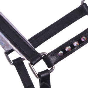 QHP Halster veulen leer Parla | Minihorseshop