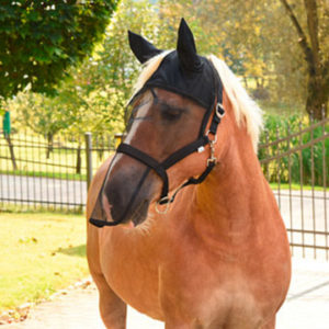 Hofman Vliegenhalster/masker | Minihorseshop