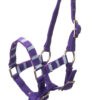 QHP Halster Stripe | Minihorseshop