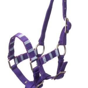 QHP Halster Stripe | Minihorseshop
