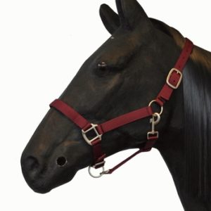 Hofman Halster Classic | Minihorseshop