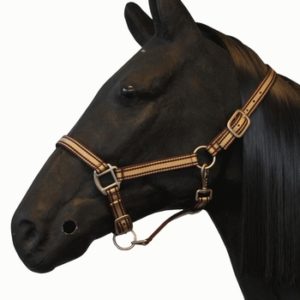 Hofman Halster Galant | Minihorseshop
