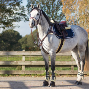 QHP Veelzijdigheidssingel Ontario | Minihorseshop
