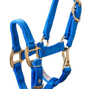 Hamilton Halster | Minihorseshop