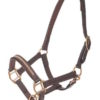 MHS Halster Tokyo | Minihorseshop