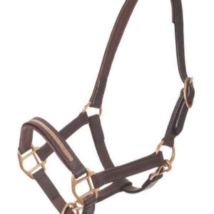 MHS Halster Tokyo | Minihorseshop