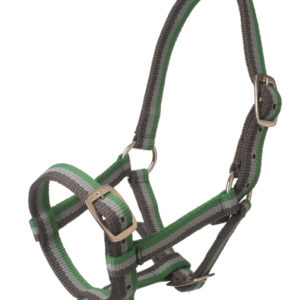 Harrys Horse Veulenhalster Top | Minihorseshop
