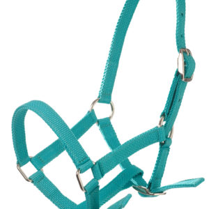 Imperial Riding Halster Nylon | Minihorseshop