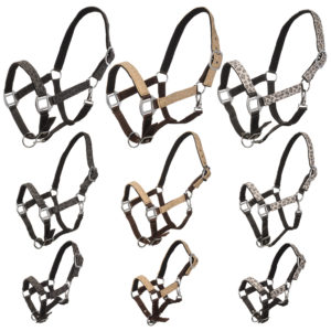 MHS Halster Leopard | Minihorseshop