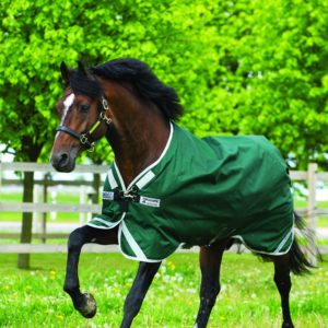 Horseware Rambo Original with Leg Arches Turnout Lite 0G | Minihorseshop