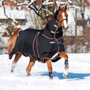 Horseware Rambo Optimo Turnout 0G Outer & 150GHood, 400G Liner | Minihorseshop