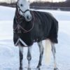 Horseware Rambo Supreme Turnout Heavy 420G | Minihorseshop