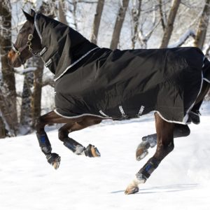 Horseware Rambo Supreme with Vari-Layer Medium 250G | Minihorseshop