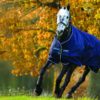 Horseware Amigo Bravo 12 Original (0g Lite) | Minihorseshop