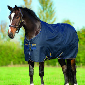 Horseware Amigo Bravo 12 XL Medium 250g | Minihorseshop