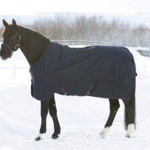 Horseware Amigo Bravo 12 XL Heavy 400g | Minihorseshop