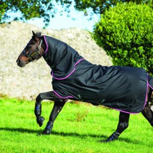Horseware Amigo Hero 6 Plus Medium 200g | Minihorseshop