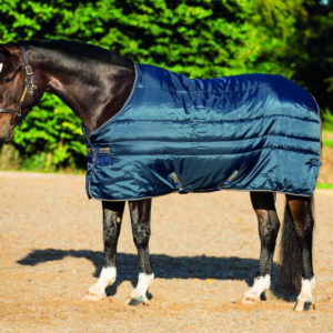 Horseware Amigo XL Insulator Medium 200g | Minihorseshop