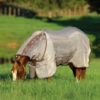 Horseware Rambo Protecto | Minihorseshop