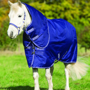 Horseware Amigo Hero 6 Plus Pony Medium 200g | Minihorseshop
