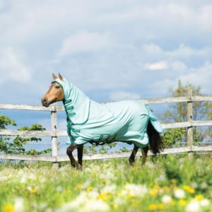 Horseware Rambo Pony Sweetitch Hoody | Minihorseshop
