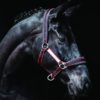 Horseware Rambo Padded Headcollar | Minihorseshop