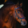Horseware Rambo Micklem Multi Bridle | Minihorseshop