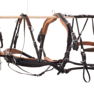 Ideal Eurotech Enkelspan Shetland | Minihorseshop