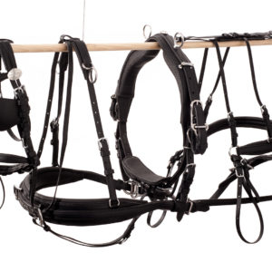 Ideal Eurotech Enkelspan Mini Shet | Minihorseshop