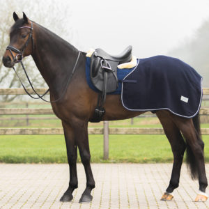 QHP Uitrijdeken wol Quarter Navy XL | Minihorseshop
