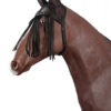 PFIFF VLIEGENFRANJES MET ORENNET | Minihorseshop