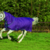 Horseware Amigo Bravo 12 Plus Pony Lite 0G | Minihorseshop