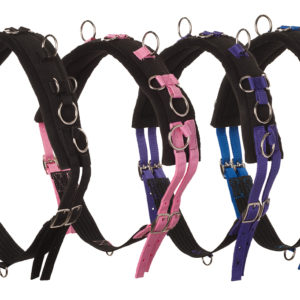 HB Longeersingel Economic | Minihorseshop