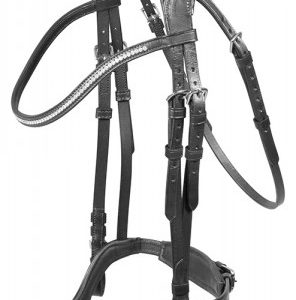 PFIFF ANATOMISCH HOOFDSTEL 'KADIRA' | Minihorseshop