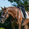 QHP Kin onderlegger Porto | Minihorseshop