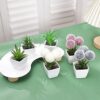 6 stks/set groenblijvende woondecoratie planten en bloemen kunstmatige succulente harige bal kleine potplanten geschikt voor plaatsing in slaapkamers restaurants tafelbladen planken vensterbanken miniinthebox | Minihorseshop